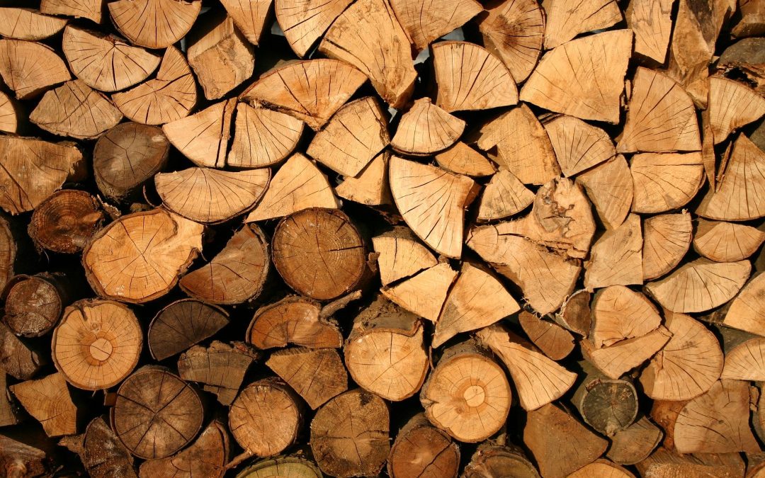 Coupe de bois