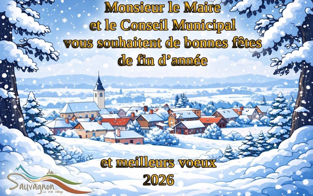 Meilleurs vœux 2026
